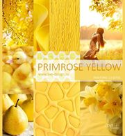 Primrose-Yellow-.jpg