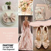 10890b88984ce88169a8763eed99f720.jpg