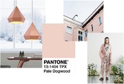 pantone_colorspring2017_paledogwood.jpg